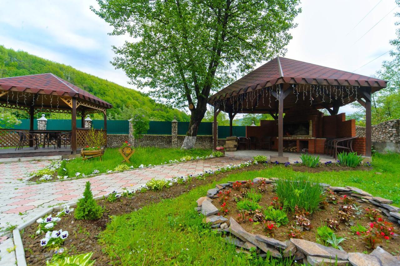 Vitapark Poliana Поляна Экстерьер фото